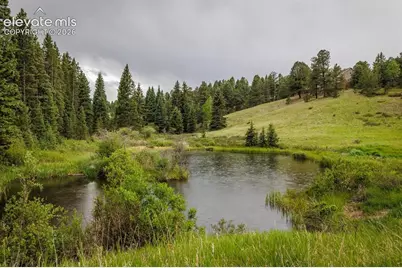 6100 Elk Valley Road, Divide, CO 80814 - Photo 46