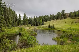 6100 Elk Vly Rd, Divide, CO 80814 - Photo 46