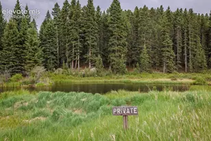 6100 Elk Vly Rd, Divide, CO 80814 - Photo 44