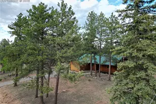 170 Druid Trail, Florissant, CO 80814 - Photo 38