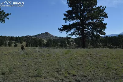 431 High Chateau Road, Florissant, CO 80816 - Photo 36