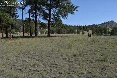 431 High Chateau Road, Florissant, CO 80816 - Photo 38