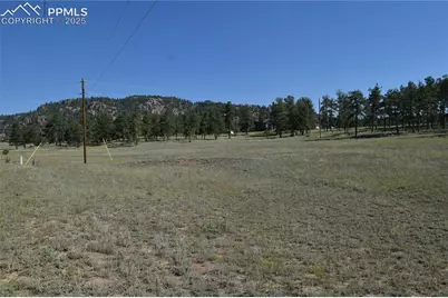 431 High Chateau Road, Florissant, CO 80816 - Photo 32
