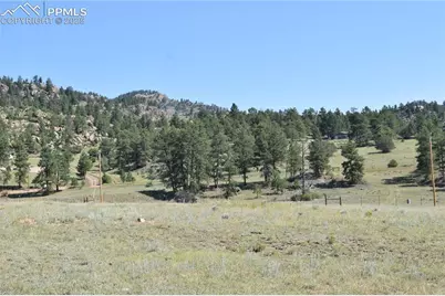 431 High Chateau Road, Florissant, CO 80816 - Photo 8
