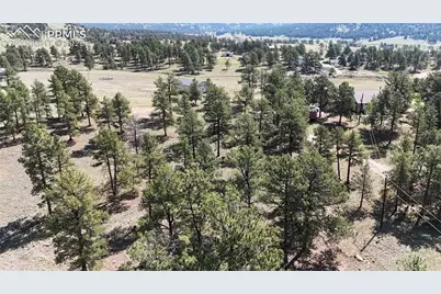 431 High Chateau Road, Florissant, CO 80816 - Photo 22