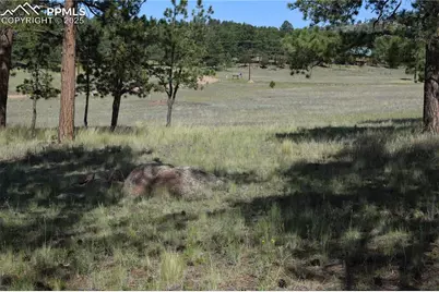 431 High Chateau Road, Florissant, CO 80816 - Photo 10