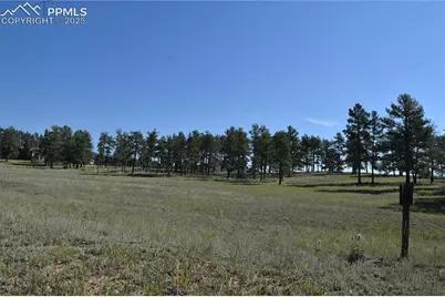 431 High Chateau Road, Florissant, CO 80816 - Photo 30