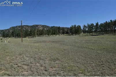 431 High Chateau Road, Florissant, CO 80816 - Photo 32