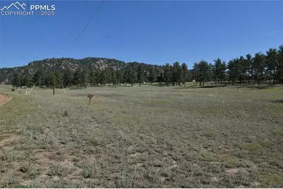 431 High Chateau Road, Florissant, CO 80816 - Photo 26