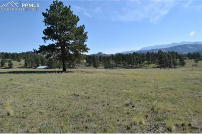 431 High Chateau Road, Florissant, CO 80816 - Photo 40