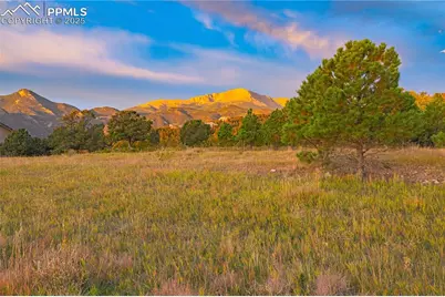 3760 Twisted Oak Circle, Colorado Springs, CO 80904 - Photo 6