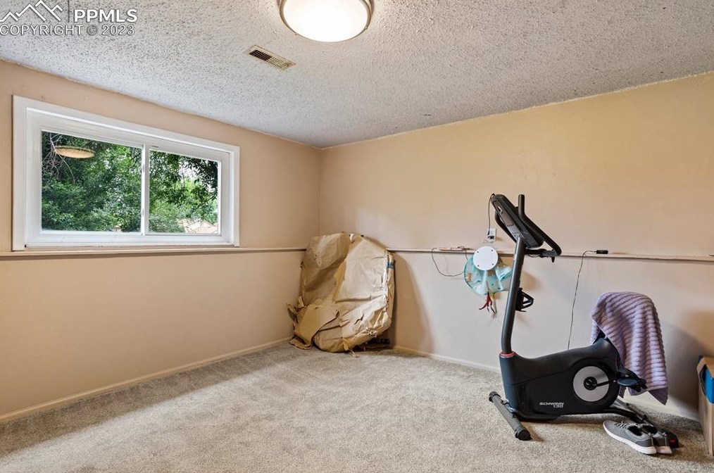 1450 Luna Vis St, Colorado Springs CO 80911-2429 exterior