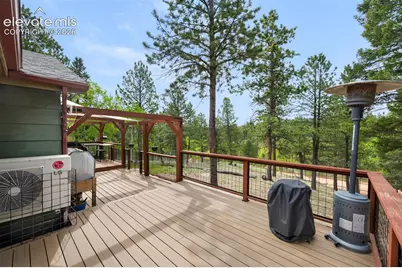 126 Aspen Circle, Divide, CO 80814 - Photo 28