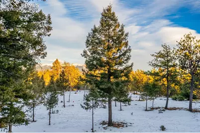 126 Rainier Drive, Florissant, CO 80816 - Photo 24