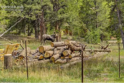 26 Howe Court, Black Hawk, CO 80422 - Photo 38