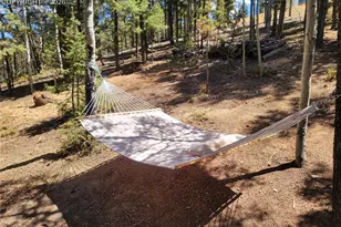 40 Flathead Ln, Woodland Park, CO 80863 - Photo 6