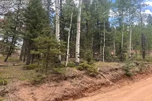 687 Trout Haven Rd, Florissant, CO 80816 - Photo 1