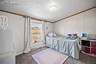 10385 Camino Grande Point, Fountain, CO 80817 - Photo 16