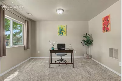 984 Diamond Rim Drive, Colorado Springs, CO 80921 - Photo 4