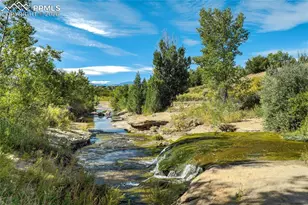 4169 Tree Crk Trl, Colorado Springs, CO 80918 - Photo 46