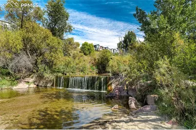 4169 Tree Creek Trail, Colorado Springs, CO 80918 - Photo 4