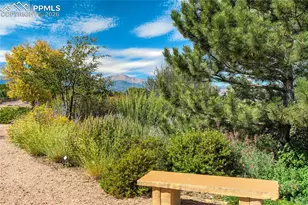 4169 Tree Crk Trl, Colorado Springs, CO 80918 - Photo 44