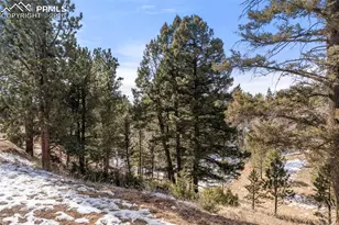 171 Star View Trail, Divide, CO 80814 - Photo 26