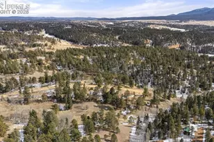 171 Star View Trail, Divide, CO 80814 - Photo 28