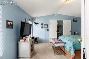 171 Star View Trail, Divide, CO 80814 - Photo 16