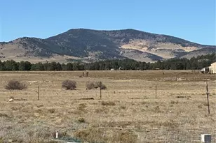 1925 Doe Valley Rd, Guffey, CO 80820 - Photo 32