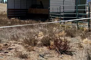 1925 Doe Valley Rd, Guffey, CO 80820 - Photo 28