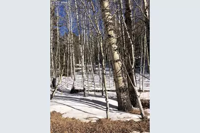 3015 N Mountain Estates Road, Florissant, CO 80816 - Photo 6