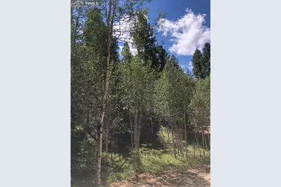 3015 N Mountain Estates Road, Florissant, CO 80816 - Photo 4