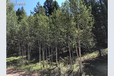 3015 N Mountain Estates Road, Florissant, CO 80816 - Photo 2