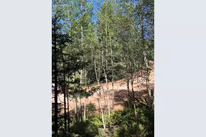 3015 N Mountain Estates Road, Florissant, CO 80816 - Photo 2