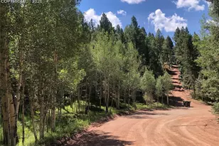 3015 N Mountain Estates Rd, Florissant, CO 80816 - Photo 1