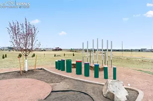 9290 Tungsten Heights, Colorado Springs, CO 80927 - Photo 30