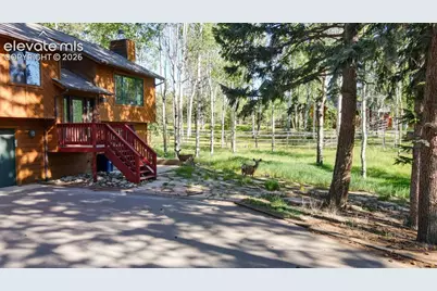 200 Bridle Drive, Woodland Park, CO 80863 - Photo 46