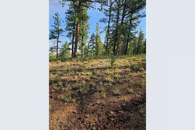 1117 Appleby Drive, Sedalia, CO 80135 - Photo 2