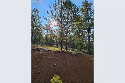 1117 Appleby Drive, Sedalia, CO 80135 - Photo 34