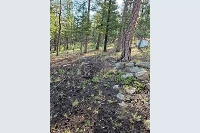 1117 Appleby Drive, Sedalia, CO 80135 - Photo 24