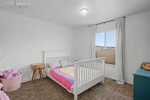 10405 Mount Columbia Dr, Peyton, CO 80831 - Photo 30