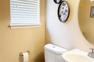 4223 Alder Springs View, Colorado Springs, CO 80922 - Photo 6