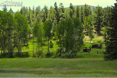 340 County Road 90, Lake George, CO 80827 - Photo 16