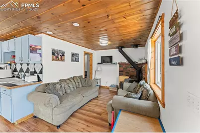 215 Will Scarlet Drive, Divide, CO 80814 - Photo 12