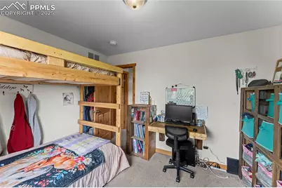 215 Will Scarlet Drive, Divide, CO 80814 - Photo 24