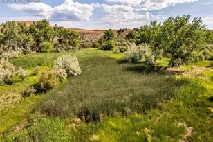 531 Co Rd 119, Florence, CO 81226 - Photo 28