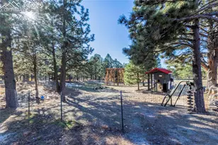 19150 White Pine Ln, Colorado Springs, CO 80908 - Photo 10