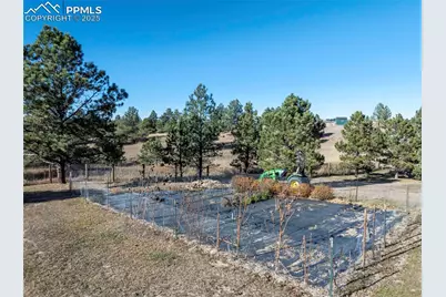 19150 White Pine Lane, Colorado Springs, CO 80908 - Photo 46