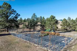 19150 White Pine Ln, Colorado Springs, CO 80908 - Photo 46